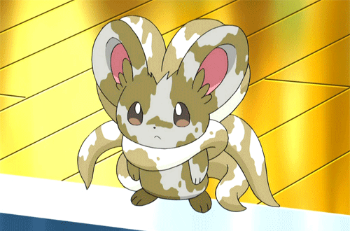 Cinccino | Wiki | Pokémon Amino