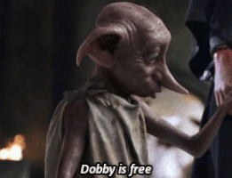 Image result for dobby is a bad elf
