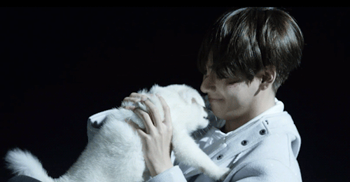 🐶🐱BTS with animals 🐱🐶 ARMY's Amino