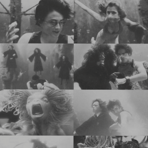 HP characters as underwater inhabitants Harry Potter Amino