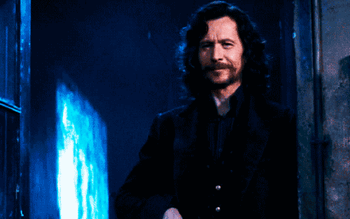 sirius black as dog flocked