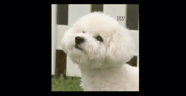 9f737cc49620870f8bf03927ef24b707f628f969_hq.gif
