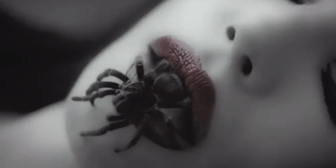 8 Most Common Phobia\'s | Horror Amino 8 Most Common Phobia\'s | Horror Amino