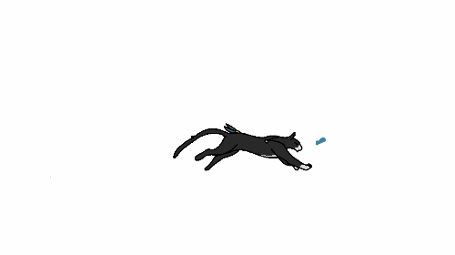 Cat running gif | Animation Art + MAP Amino
