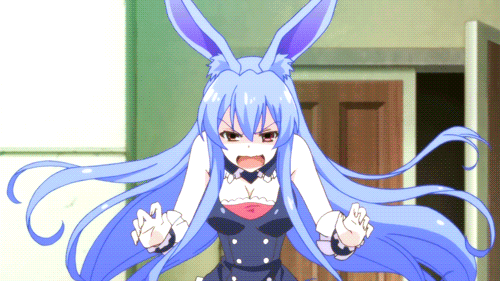 kurosagi bunny girl kurosagi bunny girl