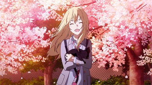 Featured image of post Pink Flower Field Anime Download wallpaper 1920x1080 hokkaido japan flowers field