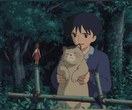 🍁¿MURIÓ SHÔ?🍀 | Amantes Del Studio Ghibli Amino