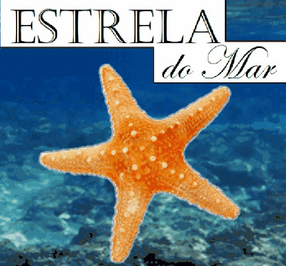 ⭐ Estrela do Mar ⭐ 🐾 Pets Em Geral 🐾 Amino