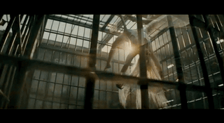 Prison Harley Quinn Ss Wiki Harley Quinn Amino Prison Harley Quinn Ss Wiki Harley Quinn Amino