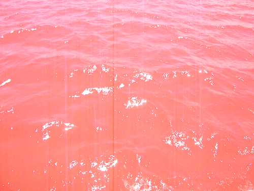 Озеро Ретба Сенегал. Розовое море. Розовая вода. Прозрачное розовое море.