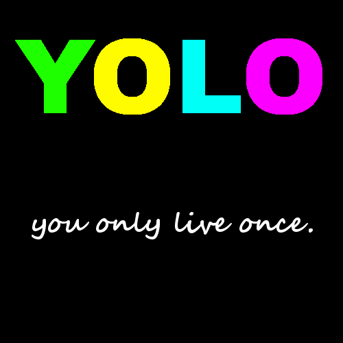Йоло фото. Yolo картинки. Yolo эскиз. Yolo. Yolo аббревиатура.