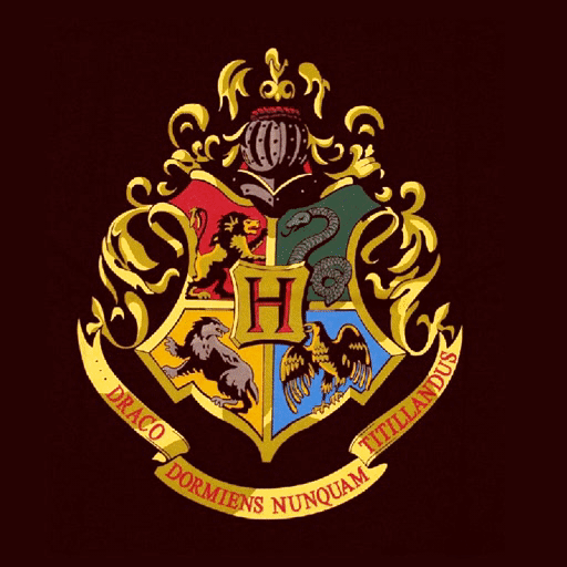 ⚡ ¿QUE SON LAS CASAS DE HOGWARTS?⚡ | •Harry Potter• Español Amino