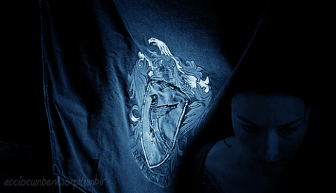 https://pa1.narvii.com/6606/1fba855096a204477da4dc03205c755bcf87e180_hq.gif