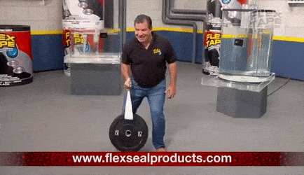 Image result for phil swift here with flex tape gif