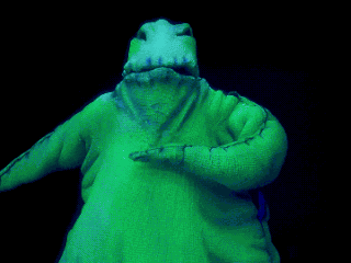 oogie boogie insects