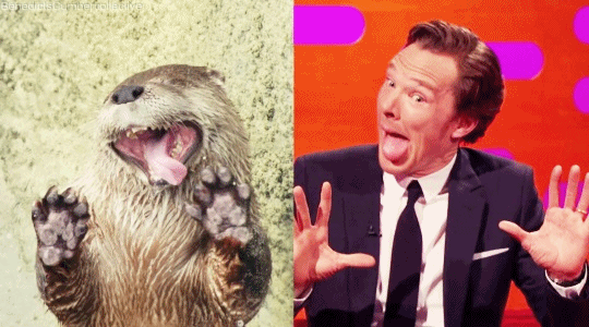 Benedict Cumberbatch Gifs | Johnlock! Amino