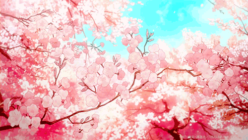 Image result for anime cherry blossom