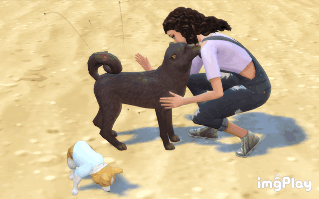 the sims 4 cats and dogs adopt stray