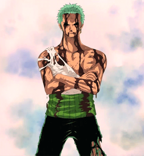 Featured image of post Zoro Iconic Pose