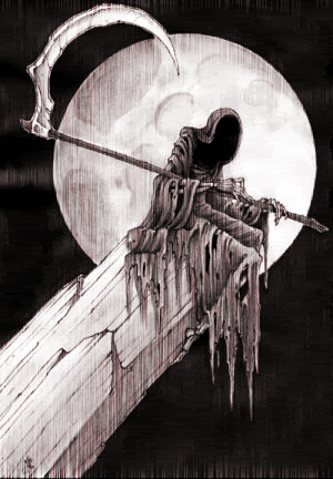 Image supplied by a user.