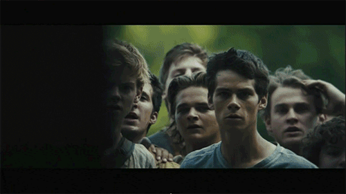 Resultado de imagem para filme maze runner 1 gif