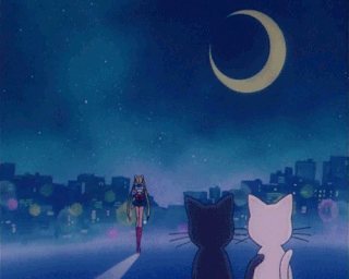 Sailor Moon Gifs | GIFs™ Amino
