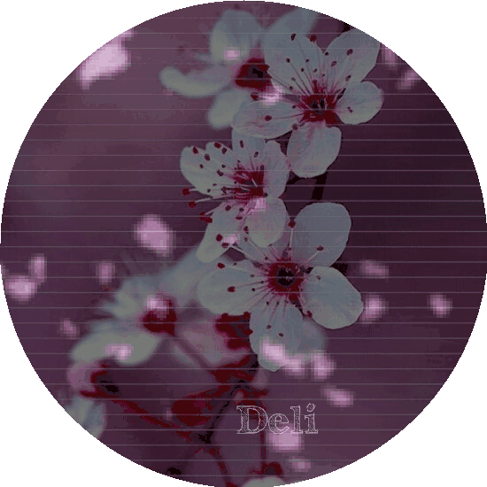 Curiosididades de japon Sakuras HABLEMOS DE OPPAS Amino