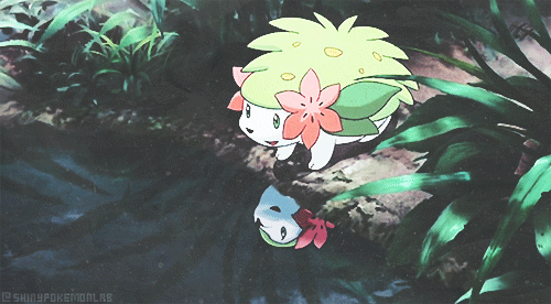 pokemon auditory hallucination