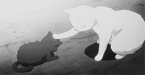 Anime flop gif