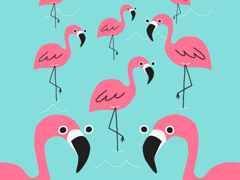 Https Encrypted Tbn0 Gstatic Com Images Q Tbn 3aand9gctipw2o1noq7y1t2txpgipqf2llfoau2vrwqg Usqp Cau - flamingo with roblox myths flamingo amino