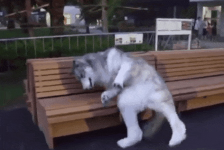 f321f92c40e8792efab1f258f896475340c844e7_hq.gif