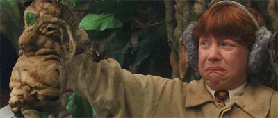 https://pa1.narvii.com/6808/a0099824c84228b4682b727bc6a28cd0e57c3bfa_hq.gif