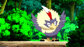 Falcon The Rufflet | Wiki | Pokémon Amino