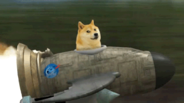Captin Doge Fortnite Battle Royale Armory Amino