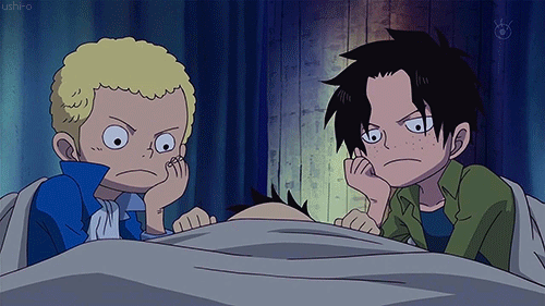 the three brothers one piece