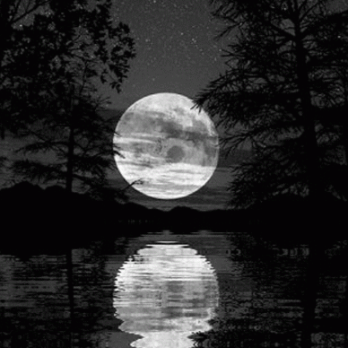 Pale Luna | Wiki | ├Creepypasta™┤ Amino