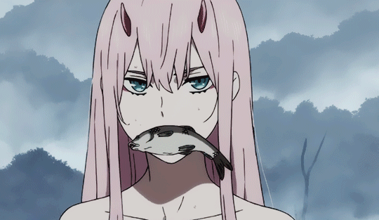 https://pa1.narvii.com/6841/fab4d3e50f8ed59a1d3f7c54eb1d4019aaff0e0a_hq.gif