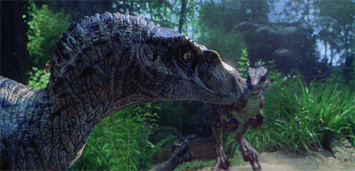 indoraptor velociraptor