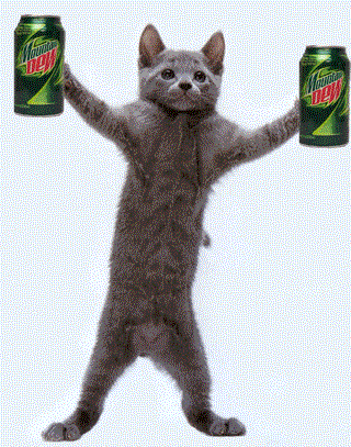 Cat Drinking Bloxy Cola Gif