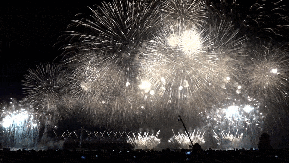 e01653f5458a0985e3ba506bfbb556d0e0b6606ar1-960-540_hq.gif