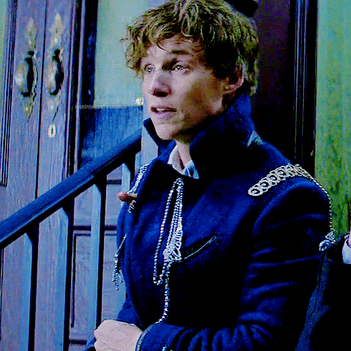 Newt Scamander Wiki Harry Potter Amino