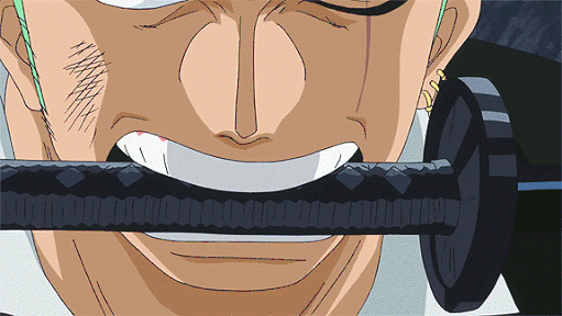 Kết quả hình ảnh cho zoro fight