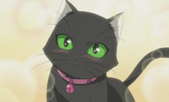 Pics of anime cats