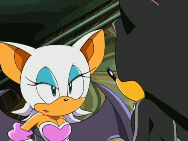 Shadow and Rouge have spent a lot of time together throughout the Sonic X s...