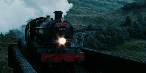 https://pa1.narvii.com/7019/ad9715d583e6da4c86a54c786516480d8fb39465r1-490-245_hq.gif