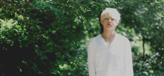 ⌇⋮ 2019 SEASONS GREETINGS 🍃 [GIFS] BTS ARMY'S ™ Amino