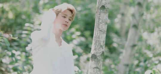 ⌇⋮ 2019 SEASONS GREETINGS 🍃 [GIFS] BTS ARMY'S ™ Amino