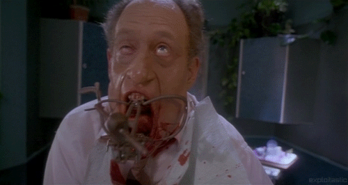 efd6d8c268d53b9ce5a05263b8fef5c9ae487a70r1-500-266_hq.gif