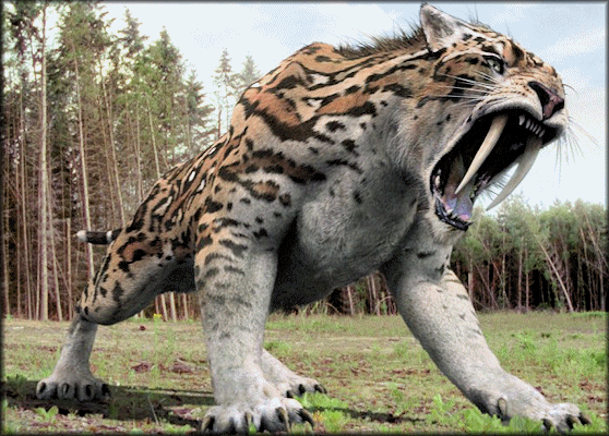 sabertooth truggy
