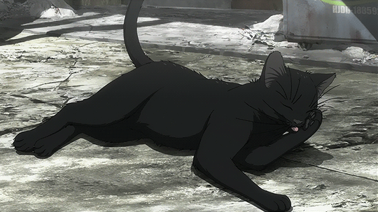 Anime black cat gif